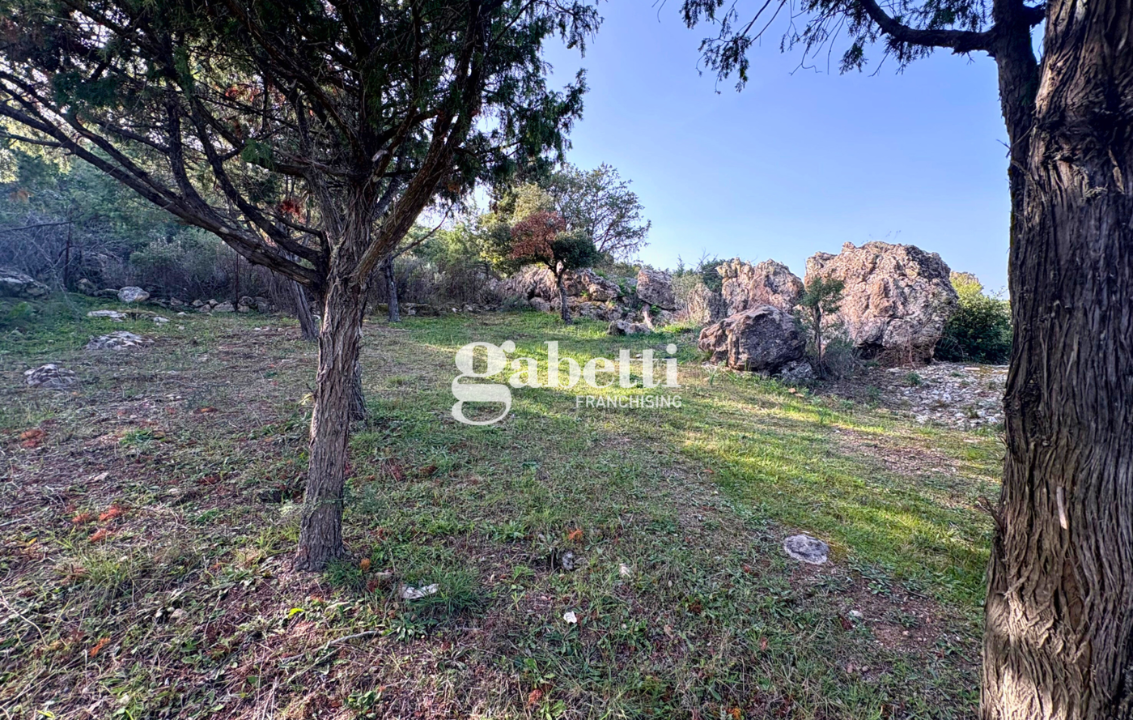 Magazzino - Image 27