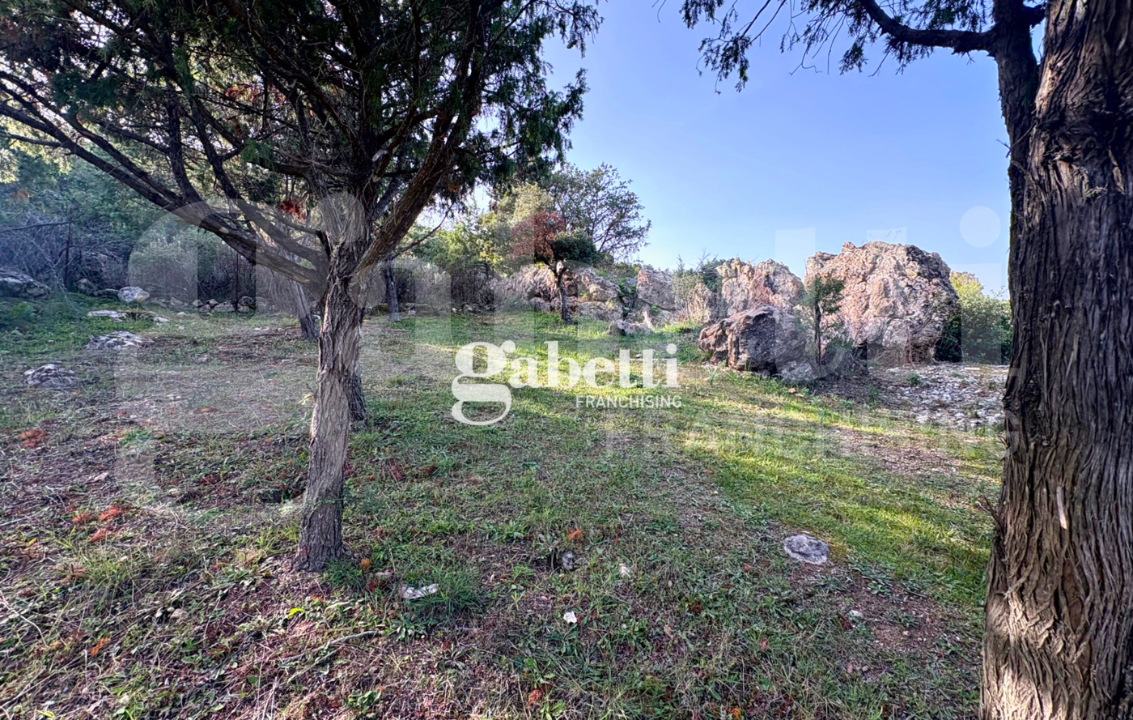 Magazzino - Image 27