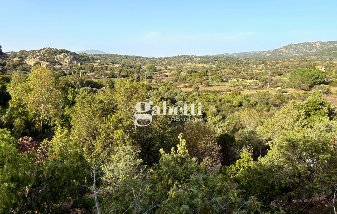 Magazzino - Image 31