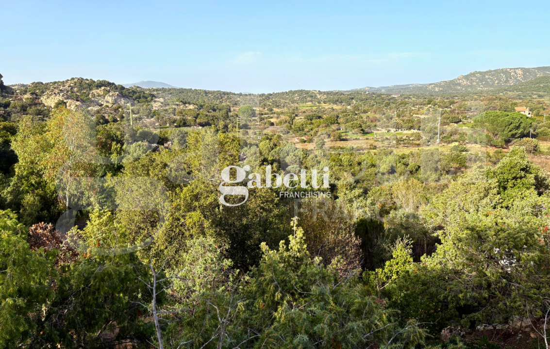 Magazzino - Image 31