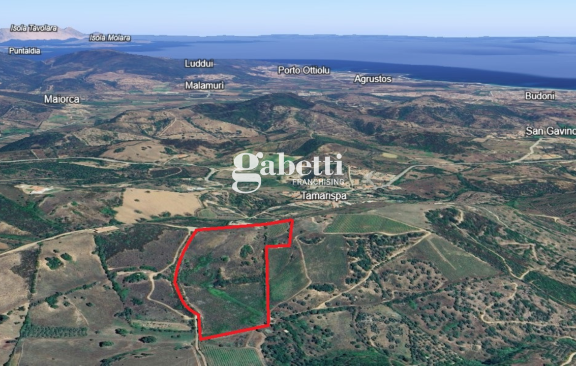 Terreno - Planimetry 3