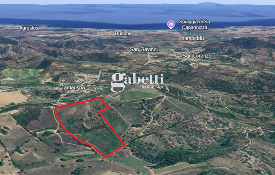 Terreno - Planimetry 1