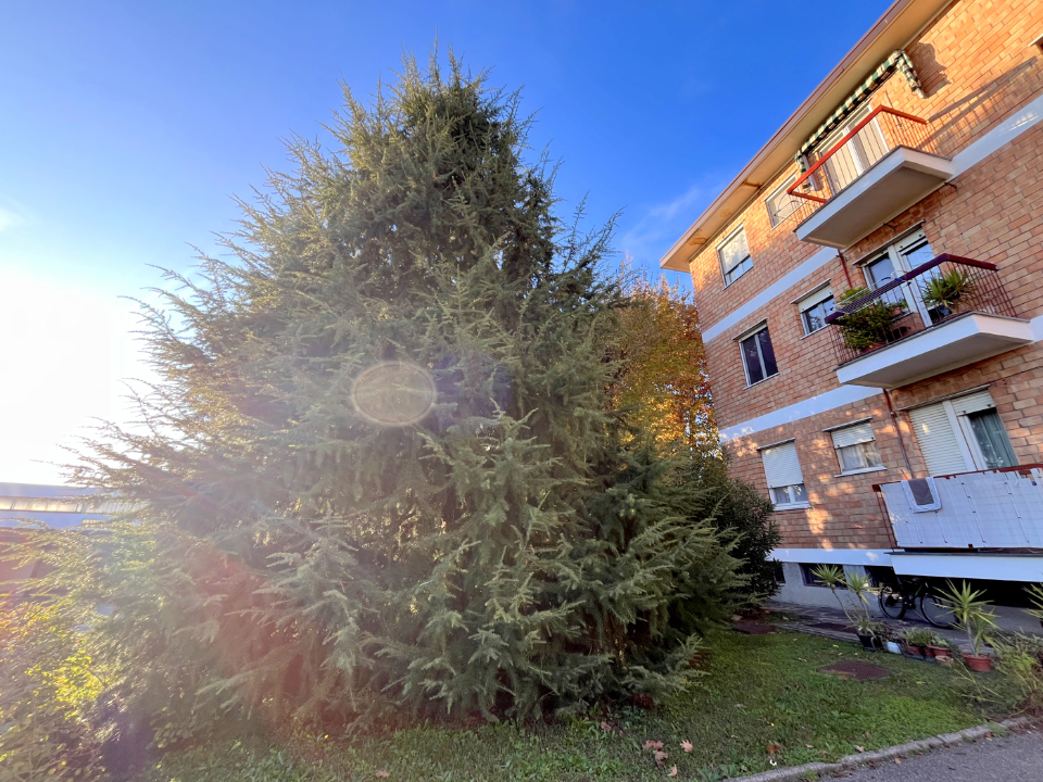 Appartamento - Image 29