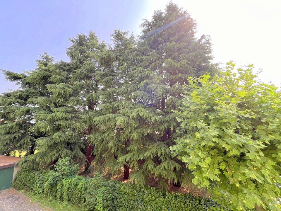 Appartamento - Image 8