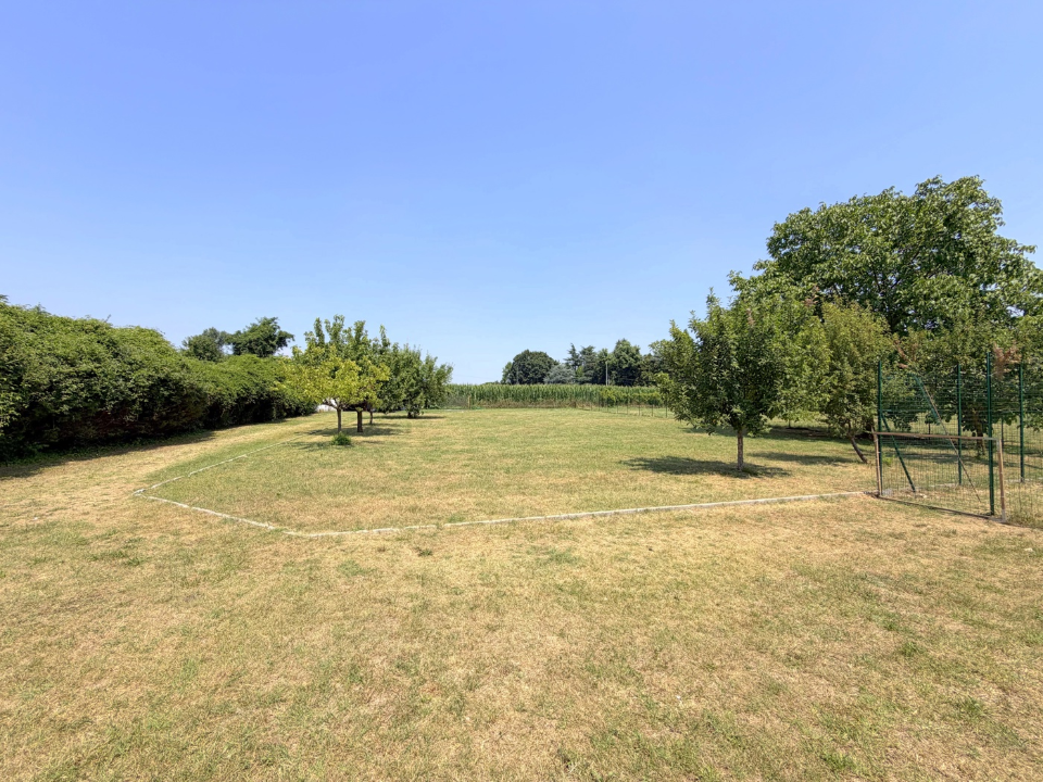 Terreno - Image 1
