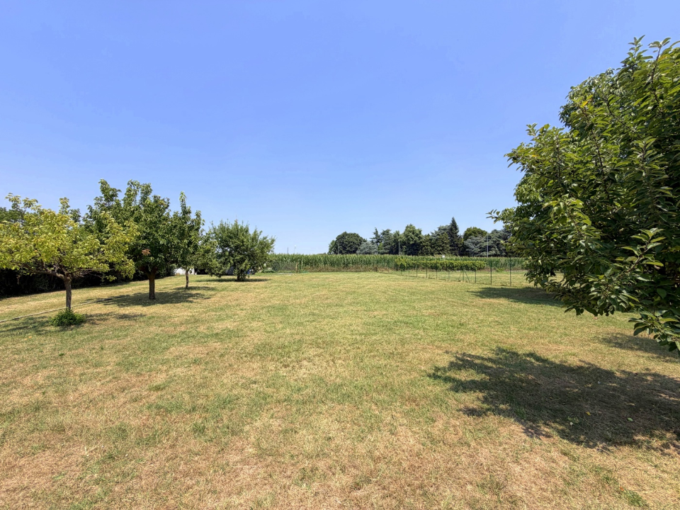 Terreno - Image 7