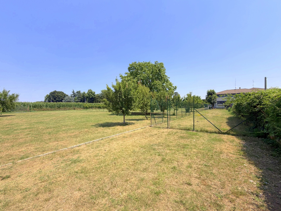 Terreno - Image 3