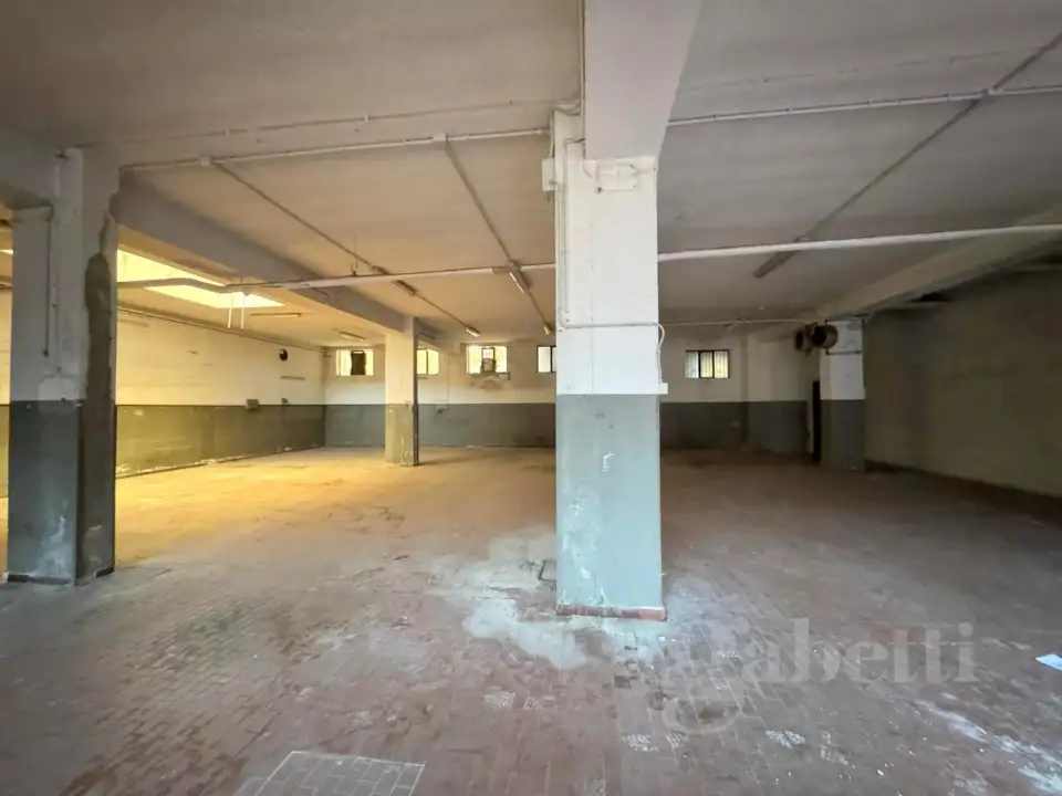 Laboratorio - Image 7