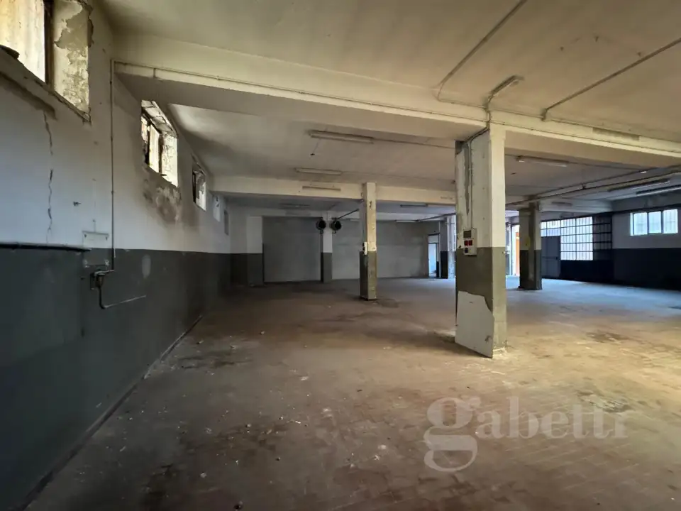 Laboratorio - Image 11