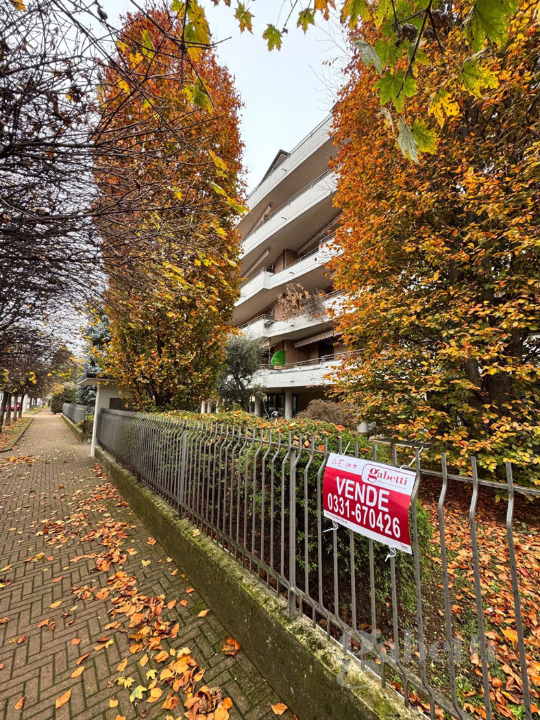 Appartamento - Image 3