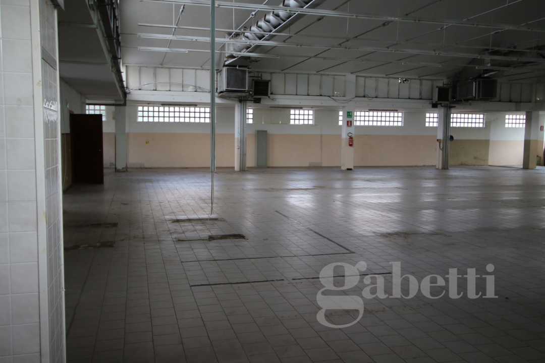 Capannone - Image 11