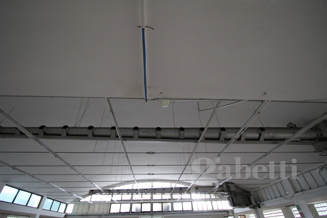 Capannone - Image 24