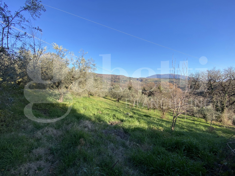 Casa Indipendente - Image 36