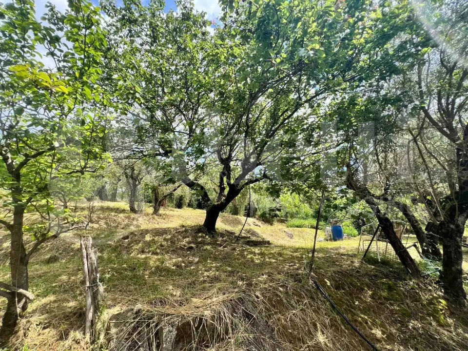 Casa Indipendente - Image 16