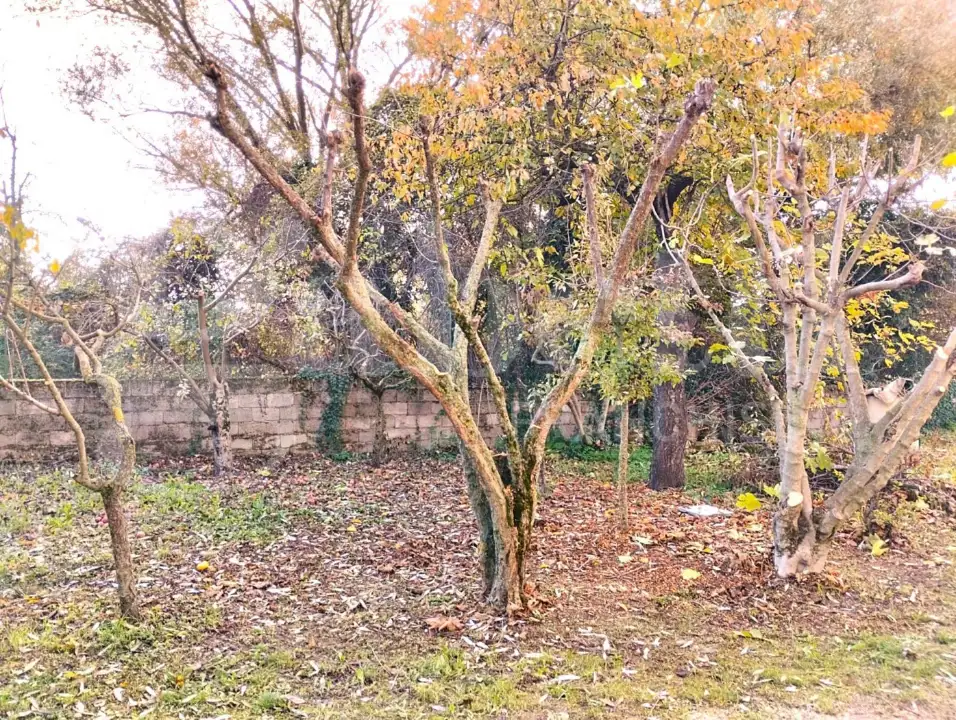 Appartamento - Image 3