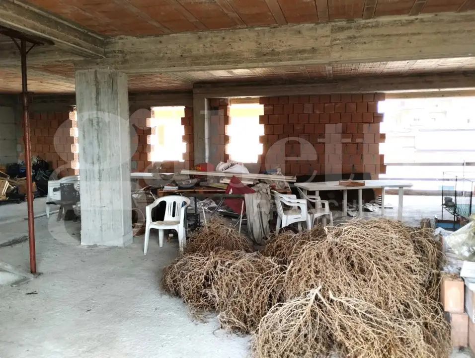 Palazzina - Image 11