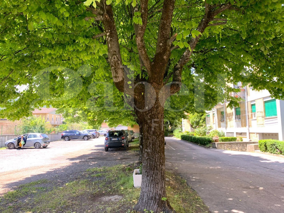 Appartamento - Image 5