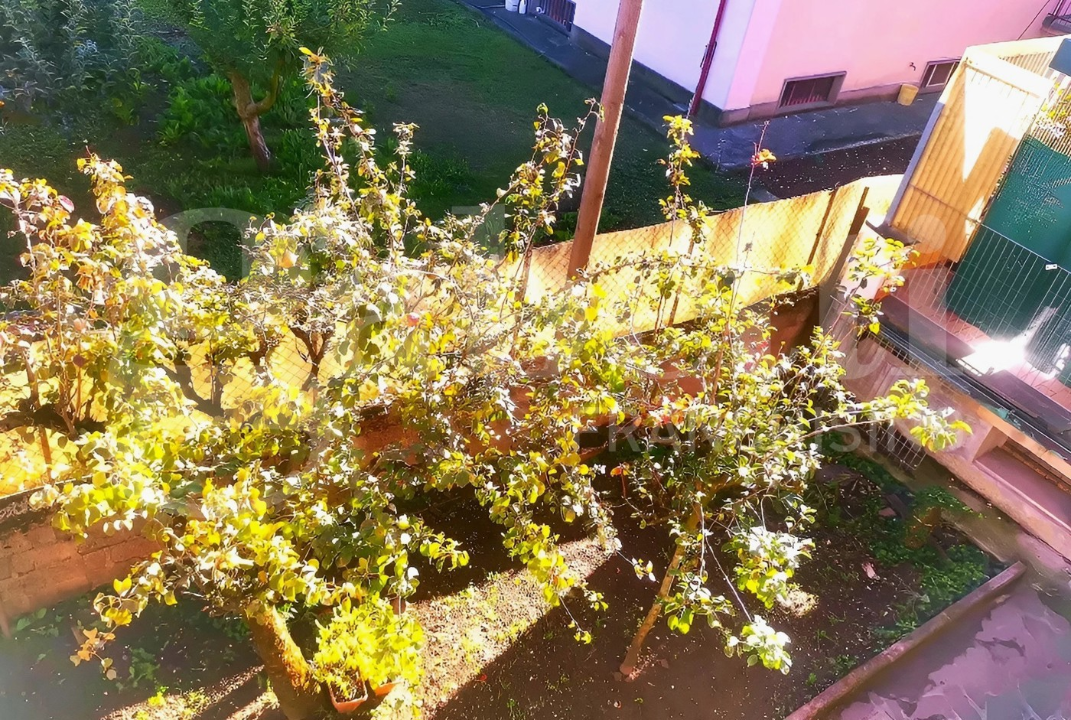 Appartamento - Image 3