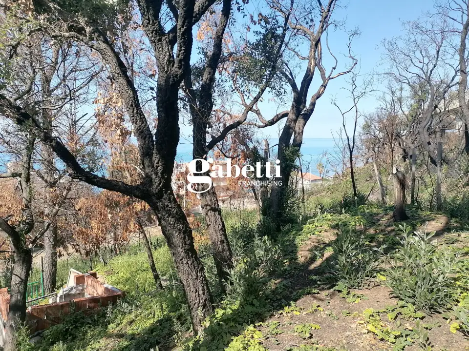 Appartamento - Image 27