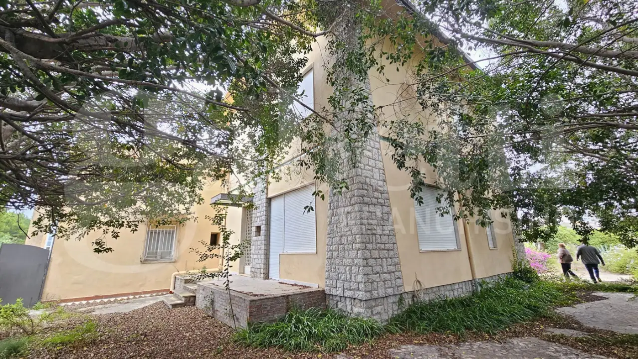 Complesso - Image 16