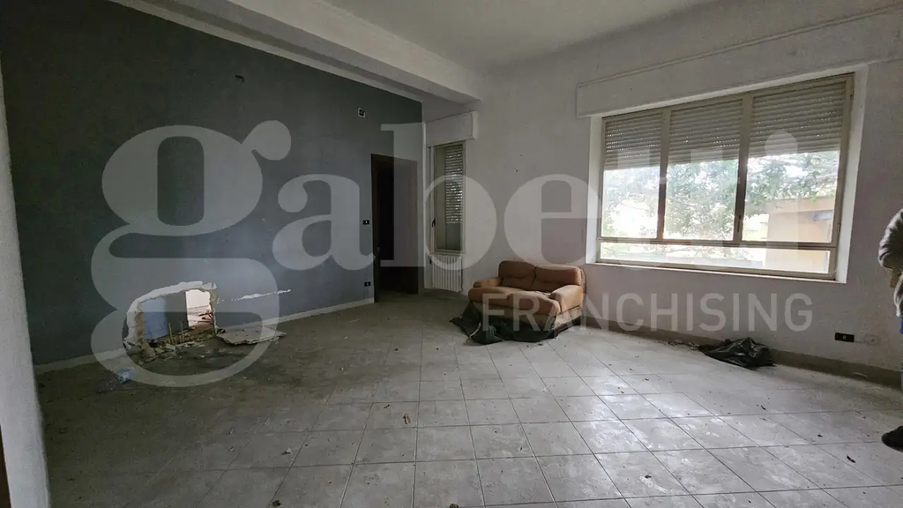 Complesso - Image 11