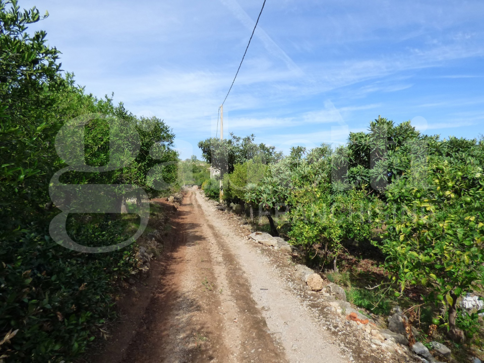 Casa Indipendente - Image 3