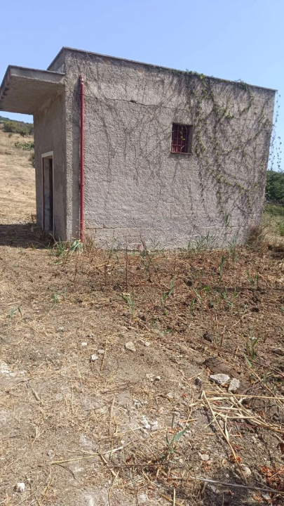 Terreno - Image 4