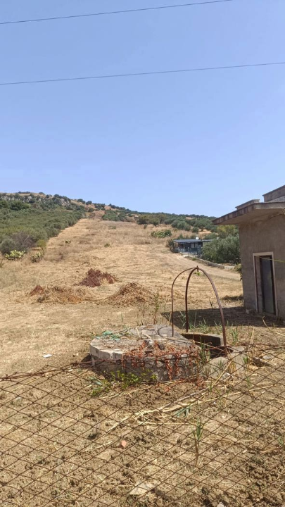 Terreno - Image 8
