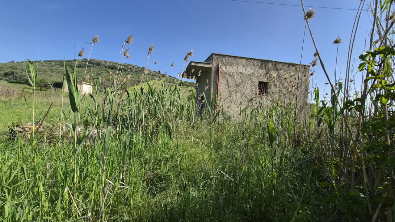 Terreno - Image 5