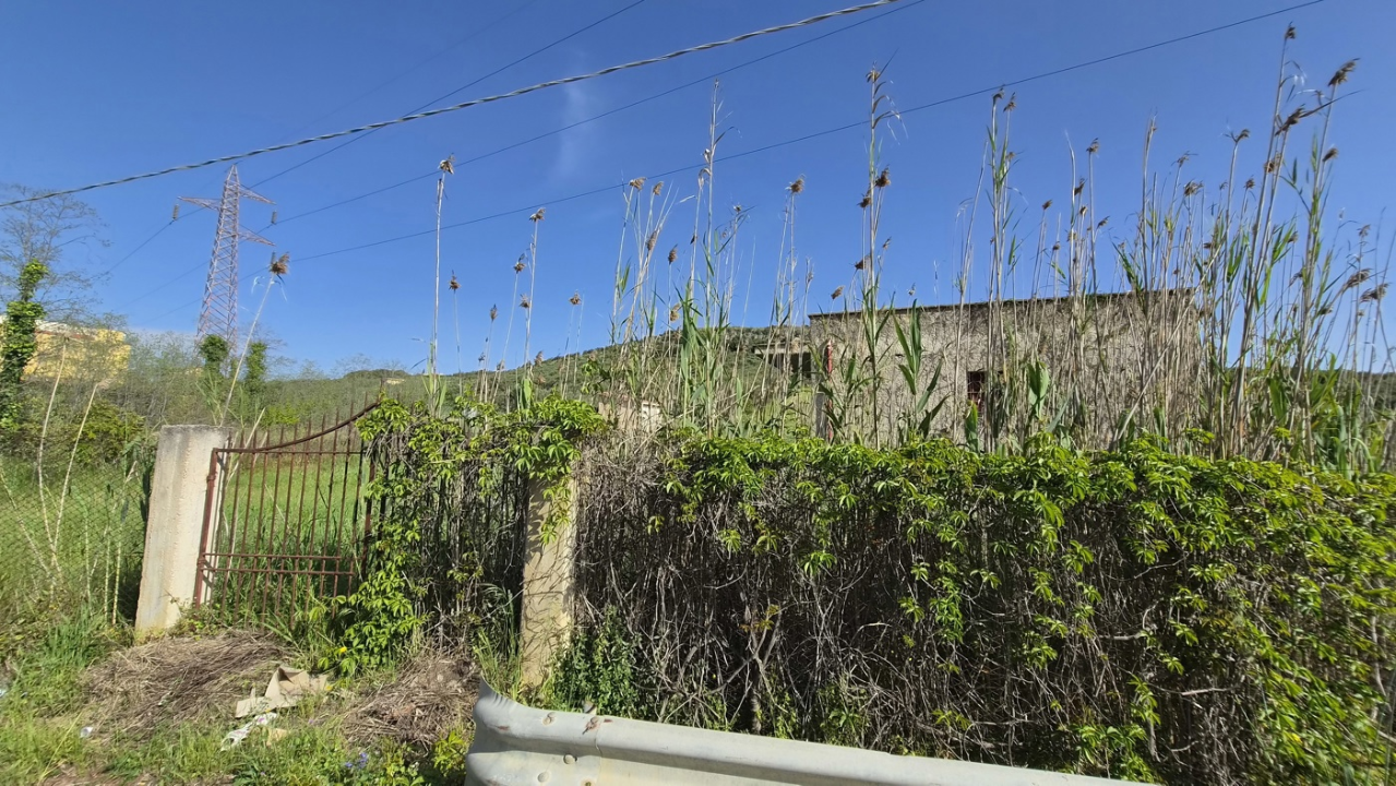 Terreno - Image 6