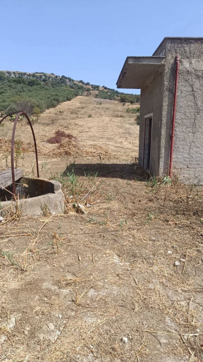 Terreno - Image 2