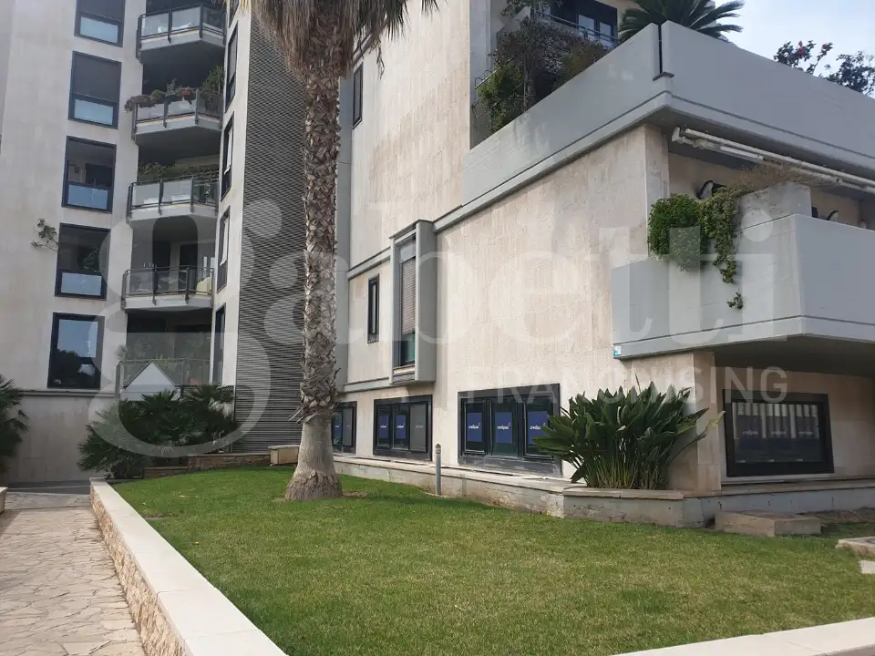 Appartamento - Image 4