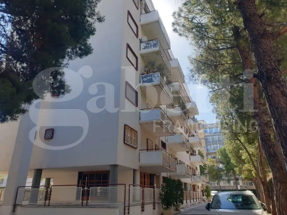 Appartamento - Image 2