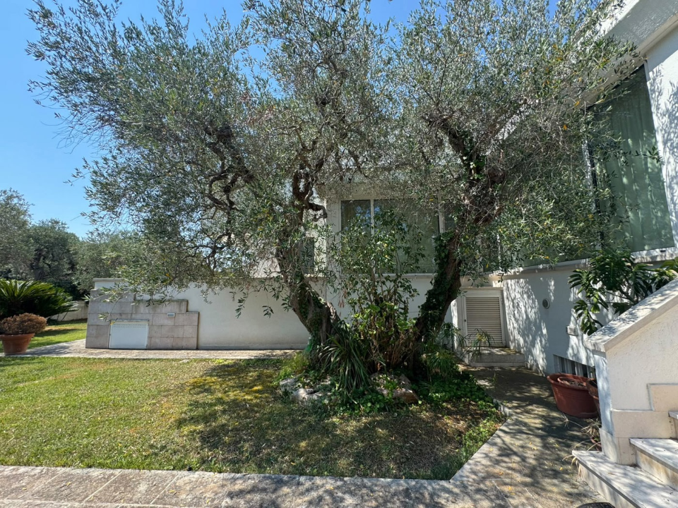 Villa - Image 2