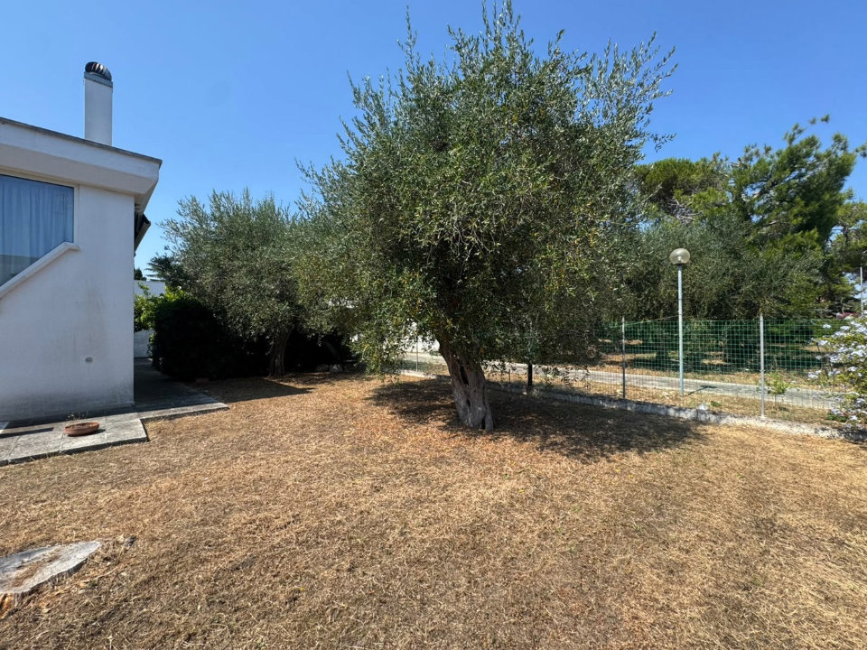 Villa - Image 5