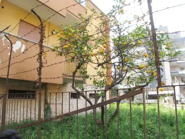 Appartamento - Image 13