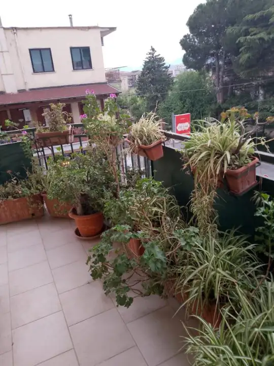 Appartamento - Image 2