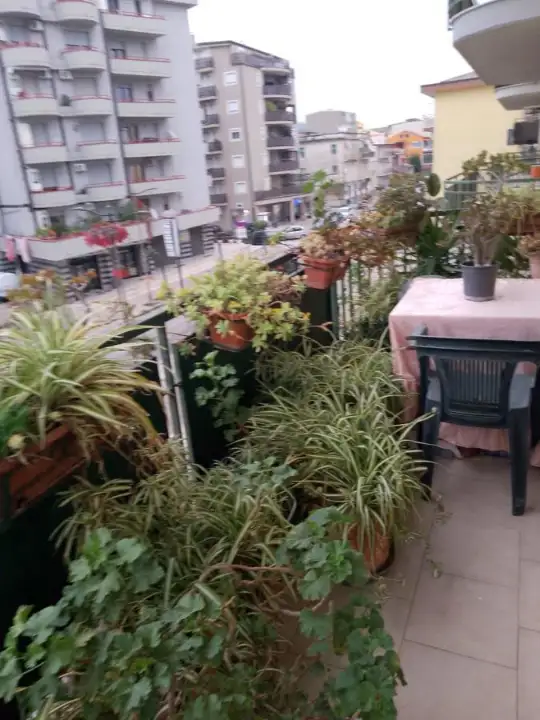 Appartamento - Image 10