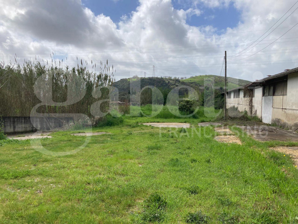 Capannone - Image 31