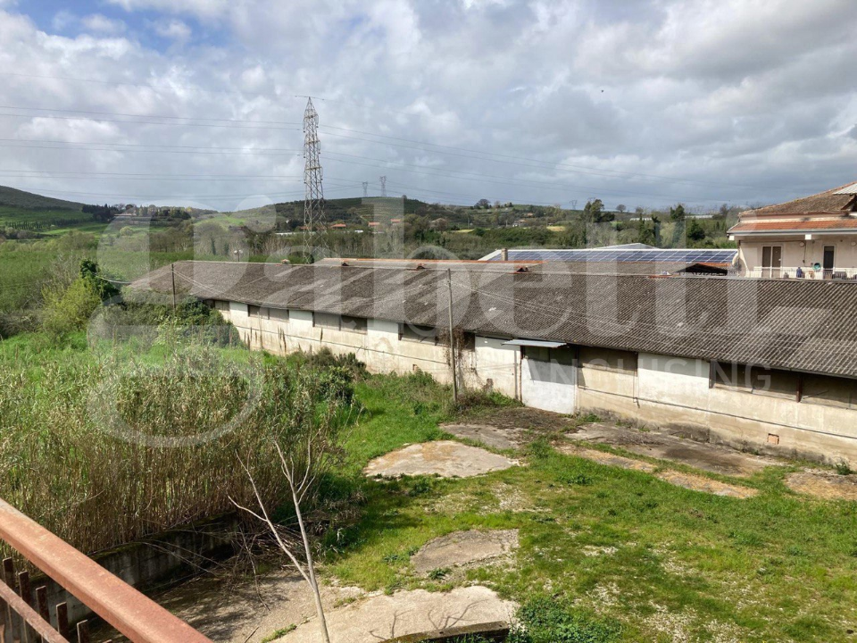 Capannone - Image 33