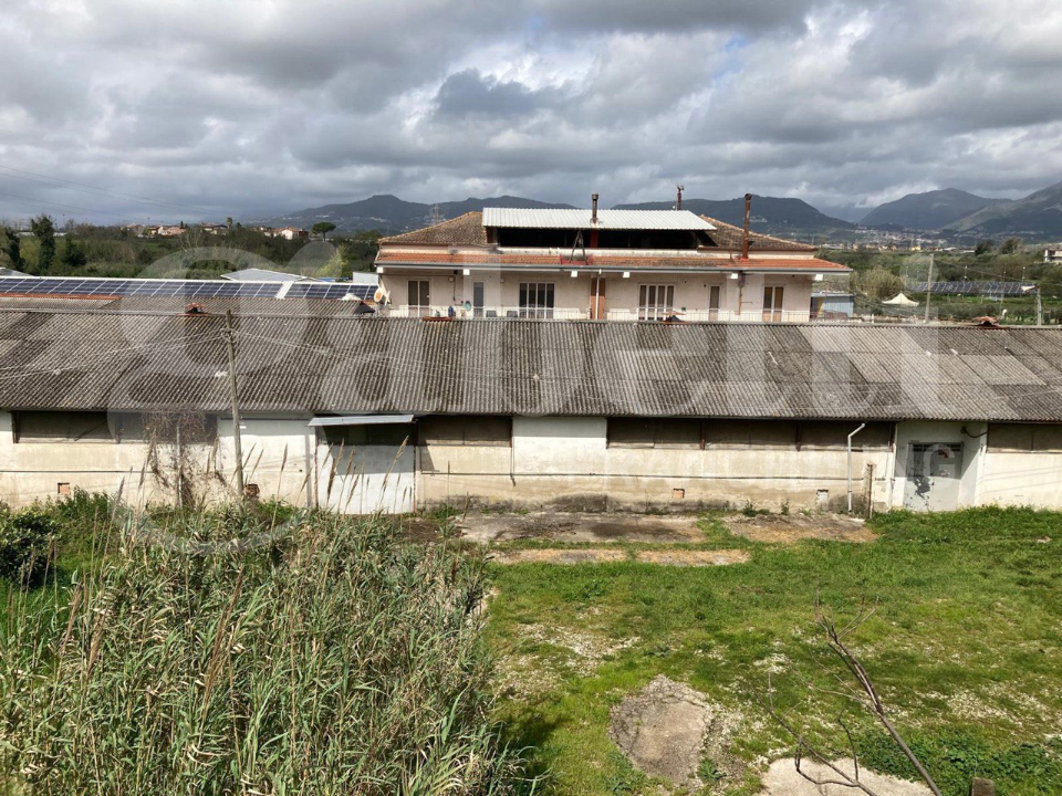 Capannone - Image 36