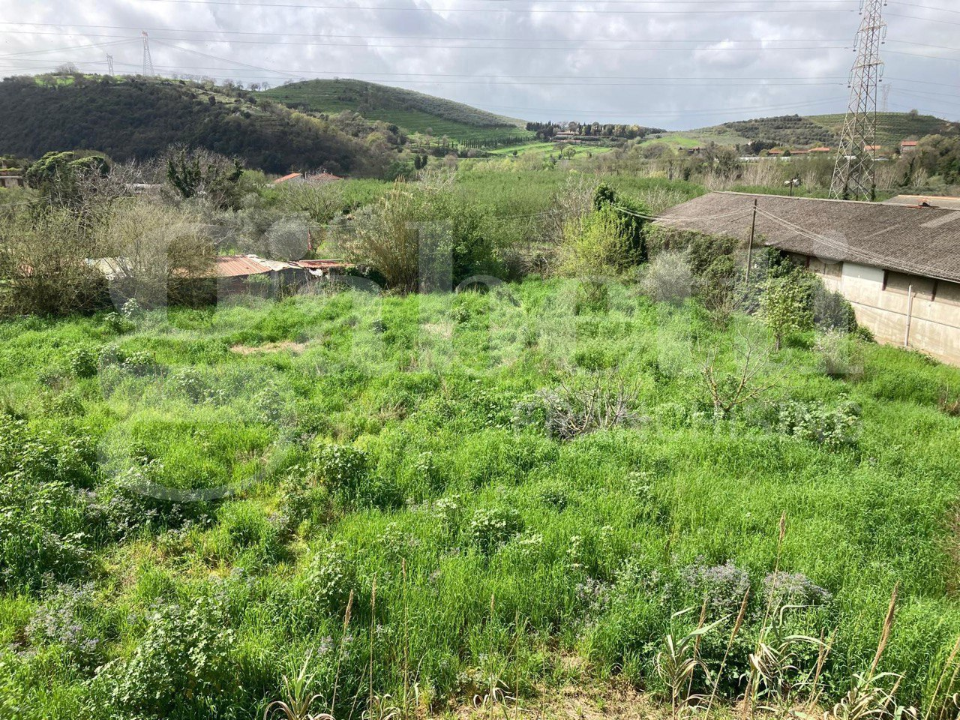 Capannone - Image 40