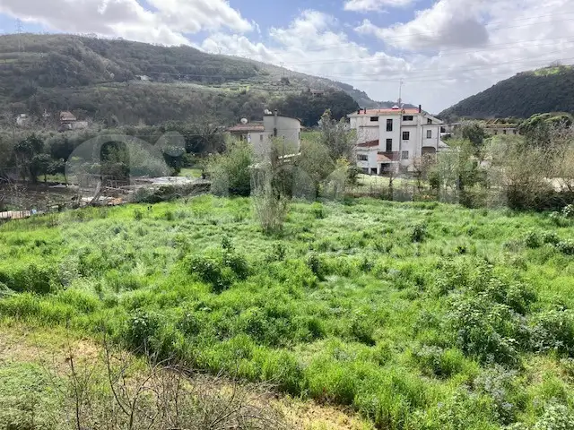 Terreno - Image 5