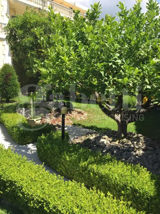 Appartamento - Image 10