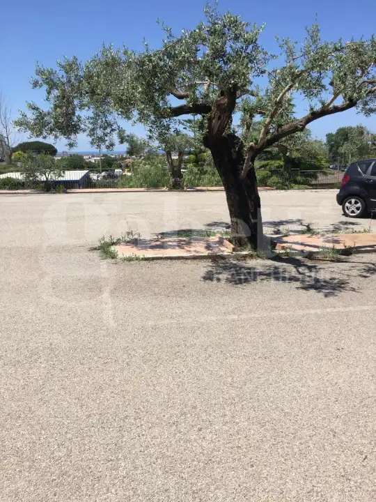 Appartamento - Image 16