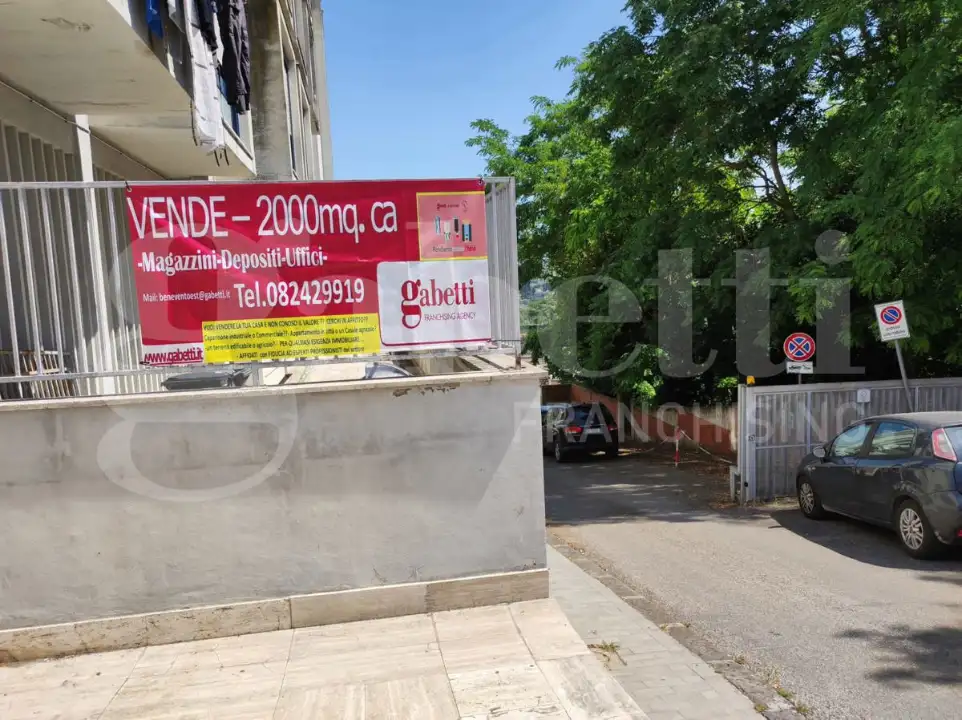 Magazzino - Image 13