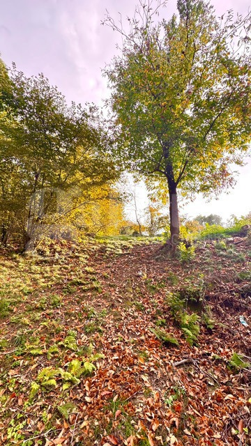 Casa Indipendente - Image 47
