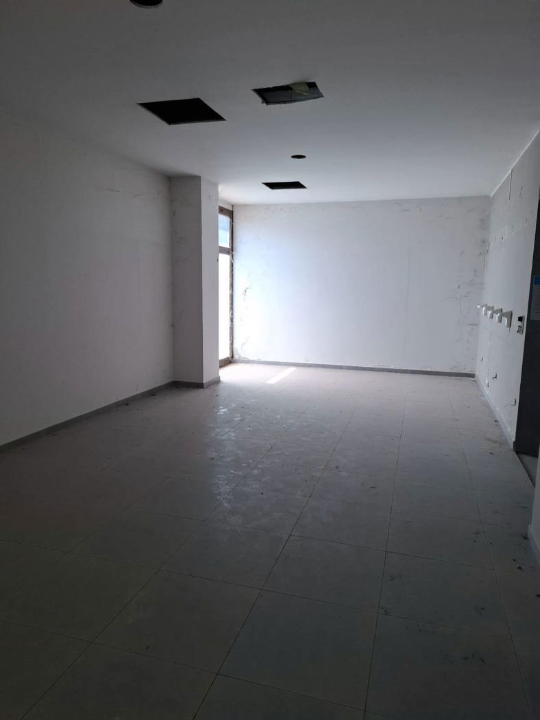 Attività - Image 21