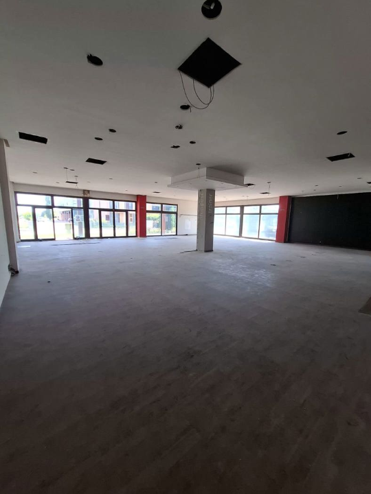 Attività - Image 16