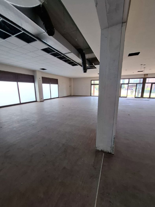 Attività - Image 17